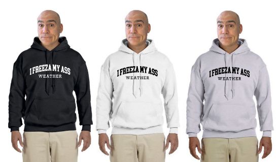 Picture of I Freeza My Ass Weather Hoodie